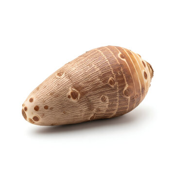 Closeup of a taro root isolated on a white background studio shot 2.