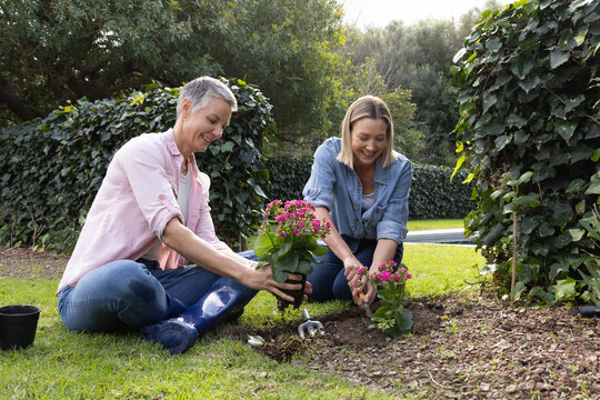 Senior mom and adult daughter kneeling in backyard planting pink blooms using trowel, wearing denim