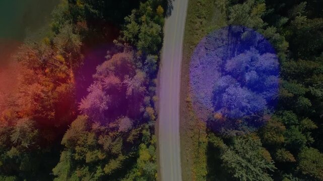 On start drone advancing, bokeh appearing, drifting, two dark shapes moving, highlighting road