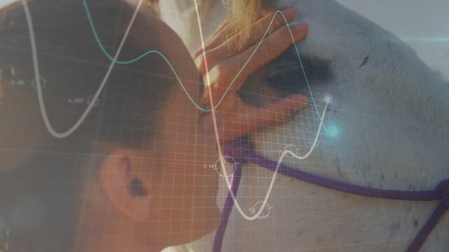 Equine handler leaning into white horse, calming eye, holding purple halter as grid aligning to eye