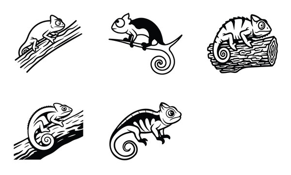 Minimalist chameleon lizard icons set, black and white reptile illustrations, stylized exotic animal silhouettes on branches for logo design