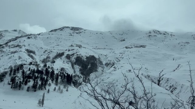 snow covered mountains