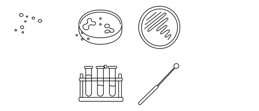 Microbiology Laboratory Science Vector Icon Set with Petri Dish, Agar Plate, Test Tube Rack, and Inoculation Loop. Collection of 4 Minimalist Thin Line Icons with Editable Stroke for Research.