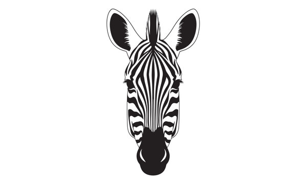 A detailed black and white illustration of a zebra's face from a front-facing perspective, showing its unique stripe patterns.