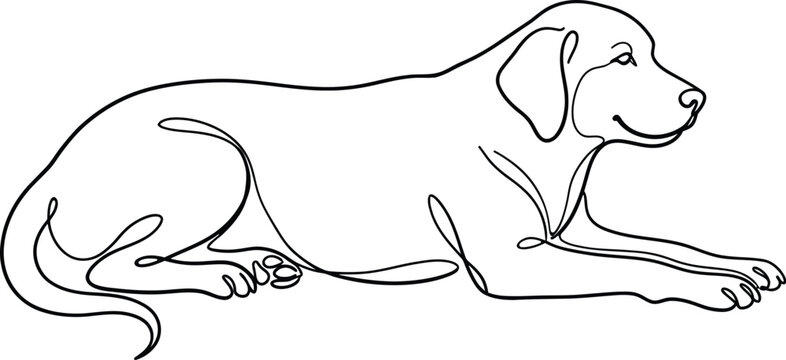 Line art dog lying down in relaxed pose for pet or animal themed website or presentation
