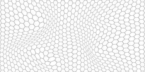 Fishing or soccer net. Repeated hexagon pattern. Black wired mesh texture isolated on white background. © Putra