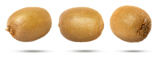Fototapeta premium group of kiwi fruit