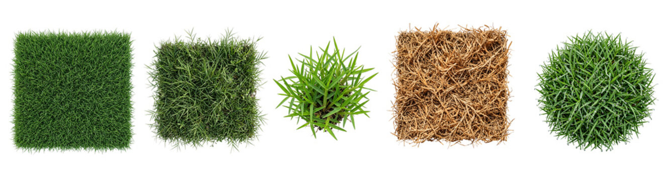 Collection of five diverse grass textures and forms including square patches and circular tufts, presented on a transparent background for easy graphic design use