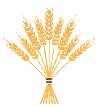 Illustration of a sheaf of wheat in cartoon style, agricultural symbol isolated.