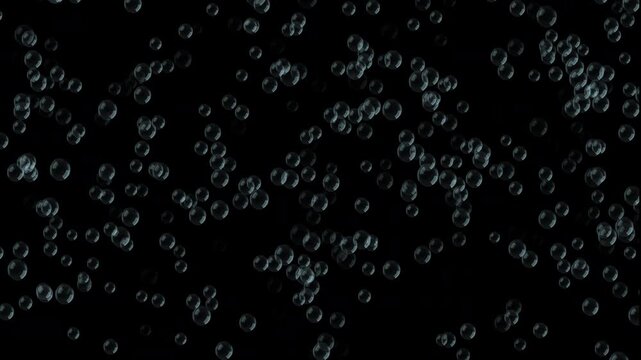 Realistic Floating Bubbles Overlay Ready on Black Background