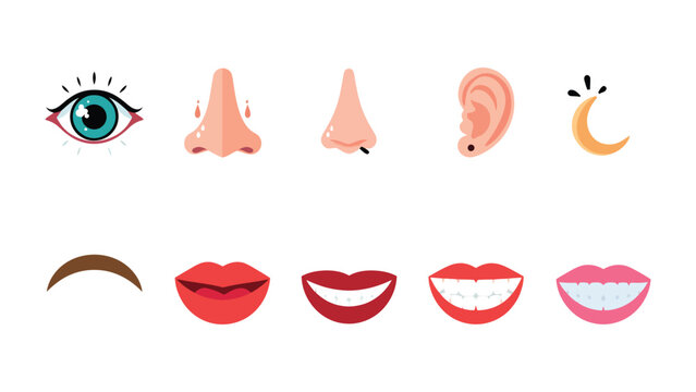Sensory Delights: A vibrant visual collection showcases the intricate beauty of human sensory organs: eyes, ears, noses, and mouths, celebrating the essence of perception and sensation.