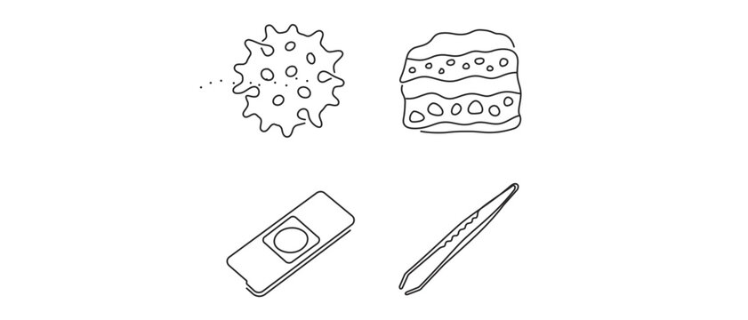 Palynology Science and Nature Study Vector Icon Set with Editable Stroke. Collection of 4 Icons featuring Pollen Grain, Ancient Sediment Sample, Microscope Slide, and Tweezers for Lab Research.