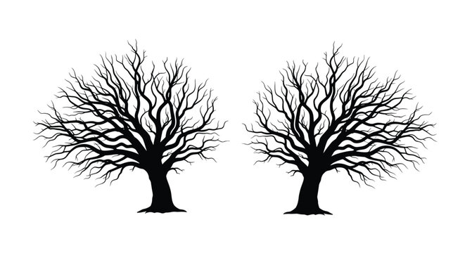 Stark black silhouette of two leafless trees with wide reaching branches creating an intricate pattern against a white backdrop.