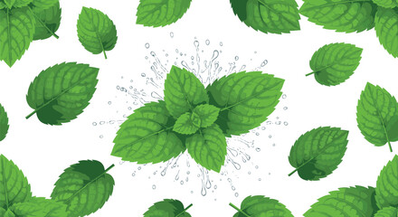 Fresh Green Mint Leaves Pattern with Water Splash Vector Illustration for Nature, Herbal, and Healthy Food Designs © Rtazmina