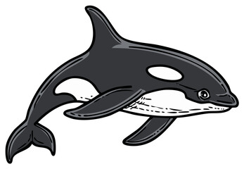 Obraz premium Stylized Killer Whale Orca Swimming Underwater Ocean Life Marine Mammal Illustration
