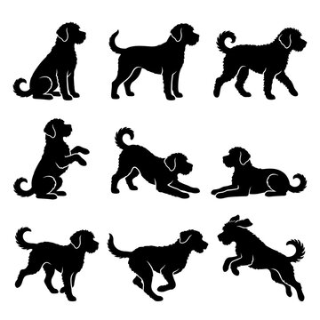 Black and white silhouette vector set of Boxerdoodle