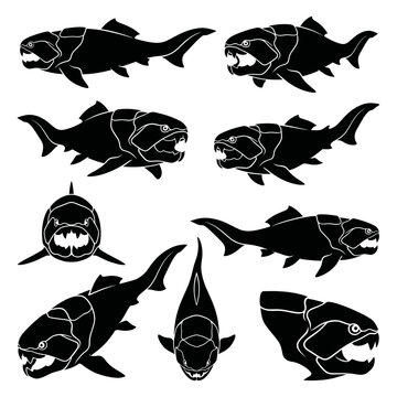black and white silhouette vector set of Dunkleosteus.