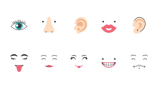 Facial Features Collage: A vibrant collage presents an array of human facial features, showcasing expressive eyes, delicate noses, refined ears, and inviting mouths.