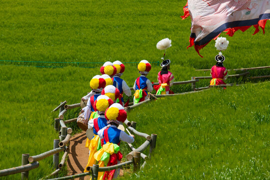 Colorful Korean Traditional Performers in a Barley Field