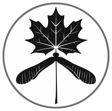 Maple Leaf and Samara Seed Pod Graphic Icon Simple Flat Design Elegant Vector Illustration