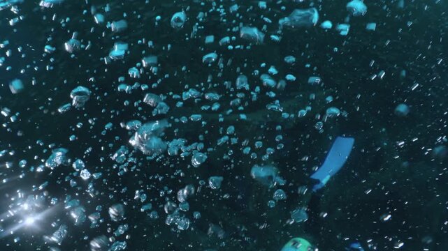 水中から立ち昇るダイバーの泡と深いブルーのコントラスト（富戸）