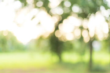 Obraz premium Abstract blurred green nature background of garden with bokeh light,Lush Green Foliage with Defocused Bokeh Background in a Summer Forest