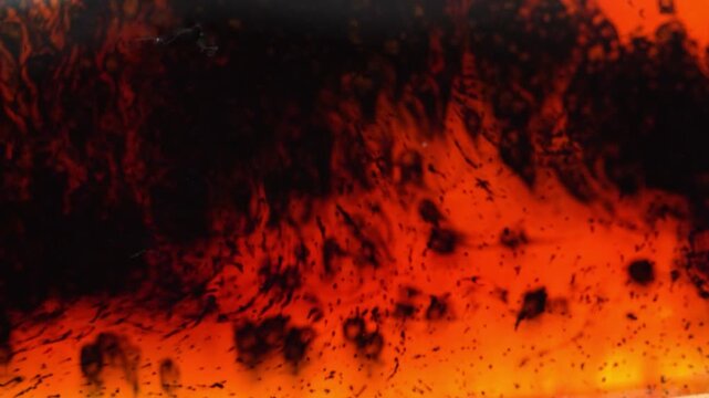 Abstract red texture in macro, background texture