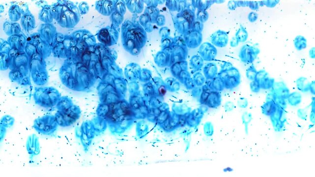 Abstract texture with blue crystals on a white background
