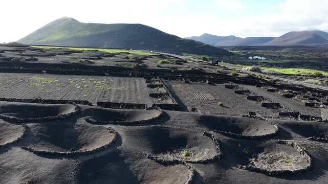 Lanzarote La Geria volcanic vineyards unique wine cultivation