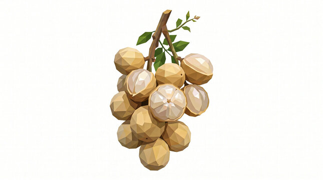 Bunch of Duku or Langsat Fruit in Low Poly 3D Illustration