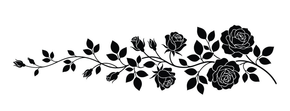 Long rose vine silhouette floral border with blooming roses and leaves vector design