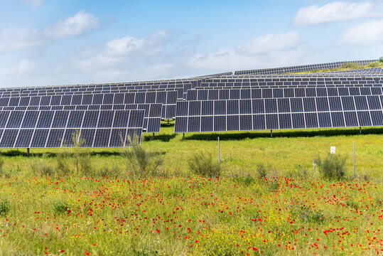 Rows of solar panels on hillside solar farm under clear sky