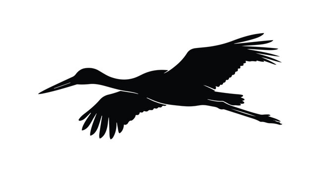 Black silhouette of a bird flying isolated on white background, side view, wings spread wide, natural wildlife concept