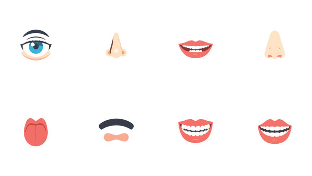 Human Face Icon Set: Explore various isolated graphic facial features with a clean, flat style, featuring different angles for diverse visual options.