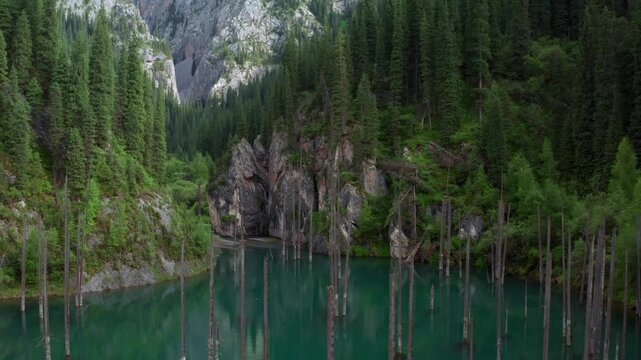 Drone flying forward over Kaindy lake, smooth motion above turquoise water with submerged tree trunks and forested slopes in Kazakhstan, unique travel destination and dramatic nature landscape