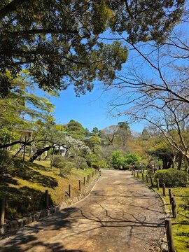 path in the park