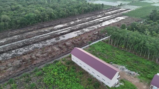 An aerial view showing deforestation and cleared plantation land, with isolated rural buildings and muddy ditches.