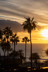 Obraz premium Sunset view on ocean, silhouettes of palm trees, swimming pool in Costa Adeje, Tenerife, Spain