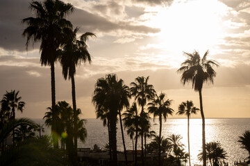 Obraz premium Sunset view on ocean, silhouettes of palm trees, swimming pool in Costa Adeje, Tenerife, Spain