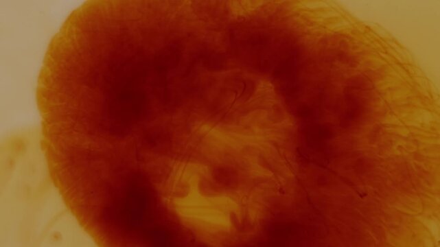 Flowing iodine particles dissolving in water creating elegant abstract motion