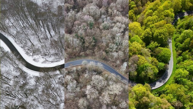 Winding Forest Road Through Changing Seasons &ndash; Aerial Perspective