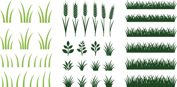 Grass and plant silhouette collection with wheat, lawn borders and botanical elements for landscaping design and garden illustration