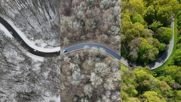 Winding Forest Road Through Changing Seasons &ndash; Aerial Perspective