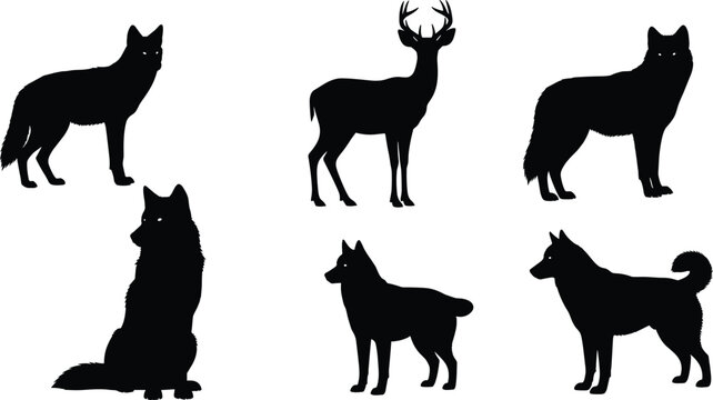 Wild animal silhouette vector set with wolf, dog and deer shapes, black wildlife collection in flat style for logo design and nature graphics