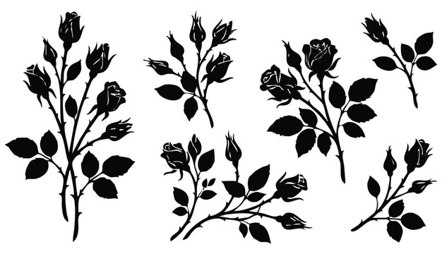Rose silhouettes vector illustration. Black buds and stems of roses stencils isolated on white background