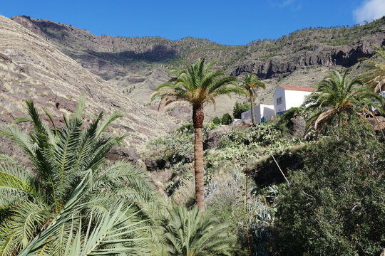 Berglandschaft auf Gran Canaria bei El Risco