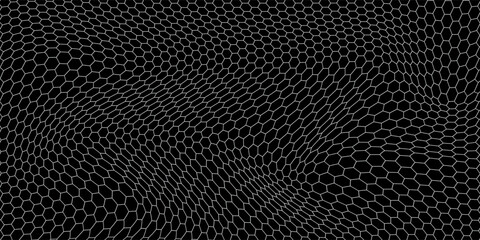Fishing or soccer net. Repeated hexagon pattern. Black wired mesh texture isolated on white background. © Haikal