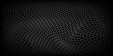 Fishing or soccer net. Repeated hexagon pattern. Black wired mesh texture isolated on white background. © Haikal