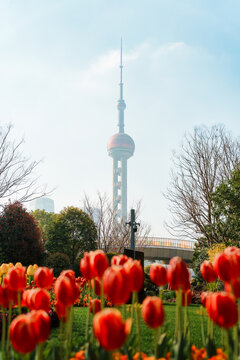 Oriental Pearl Tower with blooming red tulip in urban park at Shanghai