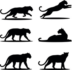 Black panther silhouettes in various poses with big cat silhouette predator wildlife stalking graceful powerful illustration © SAIFUL